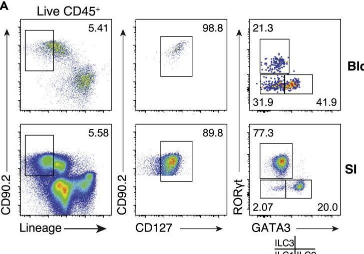 Fig.2.A showing Flow cytometry/Cell sorting in a Mus musculus (House mouse) sample from the publication: Group 3 innate lymphocytes make a distinct contribution to type 17 immunity in bladder defence.