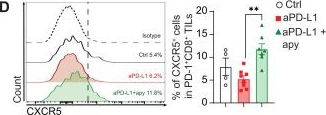 Fig.3.D showing Flow cytometry/Cell sorting in a Mus musculus (House mouse) sample from the publication: Secretory IgA amplification during immune checkpoint blockade enhances the control of tumor growth by enterotropic T cells.
