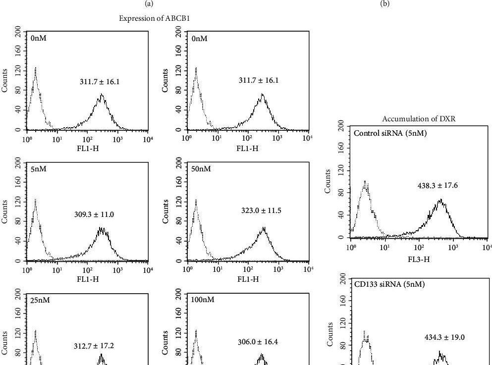 Fig.6.A showing Flow cytometry/Cell sorting from the publication: Enhanced Expression of ABCB1 and Nrf2 in CD133-Positive Cancer Stem Cells Associates with Doxorubicin Resistance.