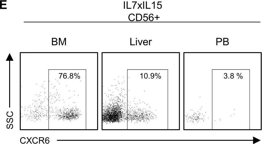 Fig.1.E showing Flow cytometry/Cell sorting from the publication: Human NK cell development in hIL-7 and hIL-15 knockin NOD/SCID/IL2rgKO mice.