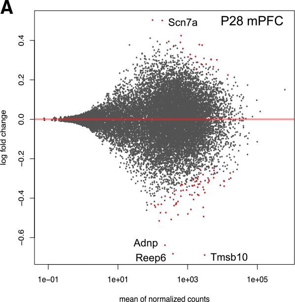 Fig.5.A showing Flow cytometry/Cell sorting in a Mus musculus (House mouse) sample from the publication: Autism risk gene POGZ promotes chromatin accessibility and expression of clustered synaptic genes.