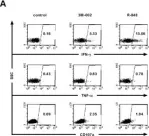 Fig.4.A showing Flow cytometry/Cell sorting in a Homo sapiens (Human) sample from the publication: Anti-HIV activity mediated by natural killer and CD8+ cells after toll-like receptor 7/8 triggering.
