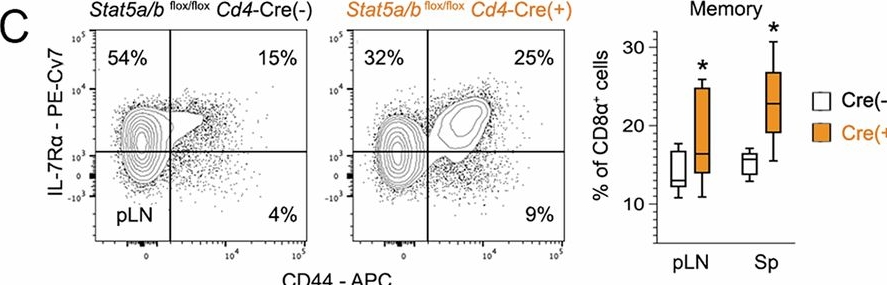 Fig.3.C showing Flow cytometry/Cell sorting in a Mus musculus (House mouse) sample from the publication: Asymmetry and redundancy of STAT5 paralogs across CD8+ T cell differentiation states.