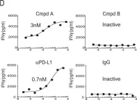 Fig.1.D showing Enzyme-linked immunosorbent assay in a Cricetulus griseus (Chinese hamster) sample from the publication: Checkpoint inhibition through small molecule-induced internalization of programmed death-ligand 1.