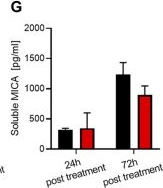 Fig.3.G showing Enzyme-linked immunosorbent assay from the publication: Boosting Natural Killer Cell Therapies in Glioblastoma Multiforme Using Supramolecular Cationic Inhibitors of Heat Shock Protein 90.