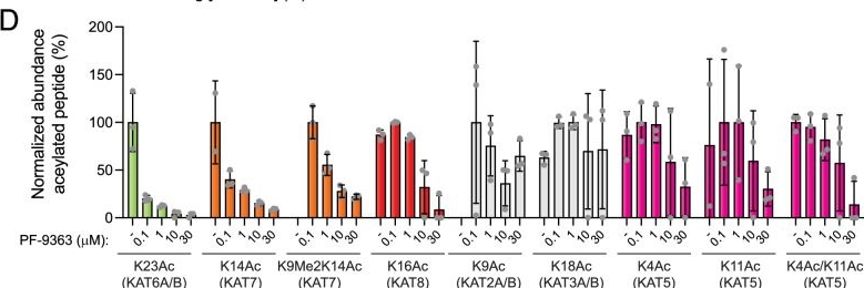 Fig.4.D from the publication: Hierarchical small molecule inhibition of MYST acetyltransferases.
