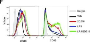 Fig.2.F showing Flow cytometry/Cell sorting from the publication: Small Molecule Calcium Channel Activator Potentiates Adjuvant Activity.