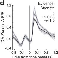 Fig.3.D from the publication: Nigrostriatal dopamine pathway regulates auditory discrimination behavior.