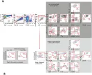 Fig.1.A showing Flow cytometry/Cell sorting in a Homo sapiens (Human) sample from the publication: Effects of the levonorgestrel-containing intrauterine device, copper intrauterine device, and levonorgestrel-containing oral contraceptive on susceptibility of immune cells from cervix, endometrium and blood to HIV-1 fusion measured ex vivo.