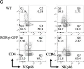 Fig.5.C showing Flow cytometry/Cell sorting in a Mus musculus (House mouse) sample from the publication: A cis-element at the Rorc locus regulates the development of type 3 innate lymphoid cells.