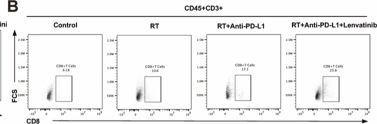 Fig.4.B showing Flow cytometry/Cell sorting from the publication: Lenvatinib potentiates the antitumor efficacy of combined radiotherapy and PD-L1 blockade in lung adenocarcinoma.