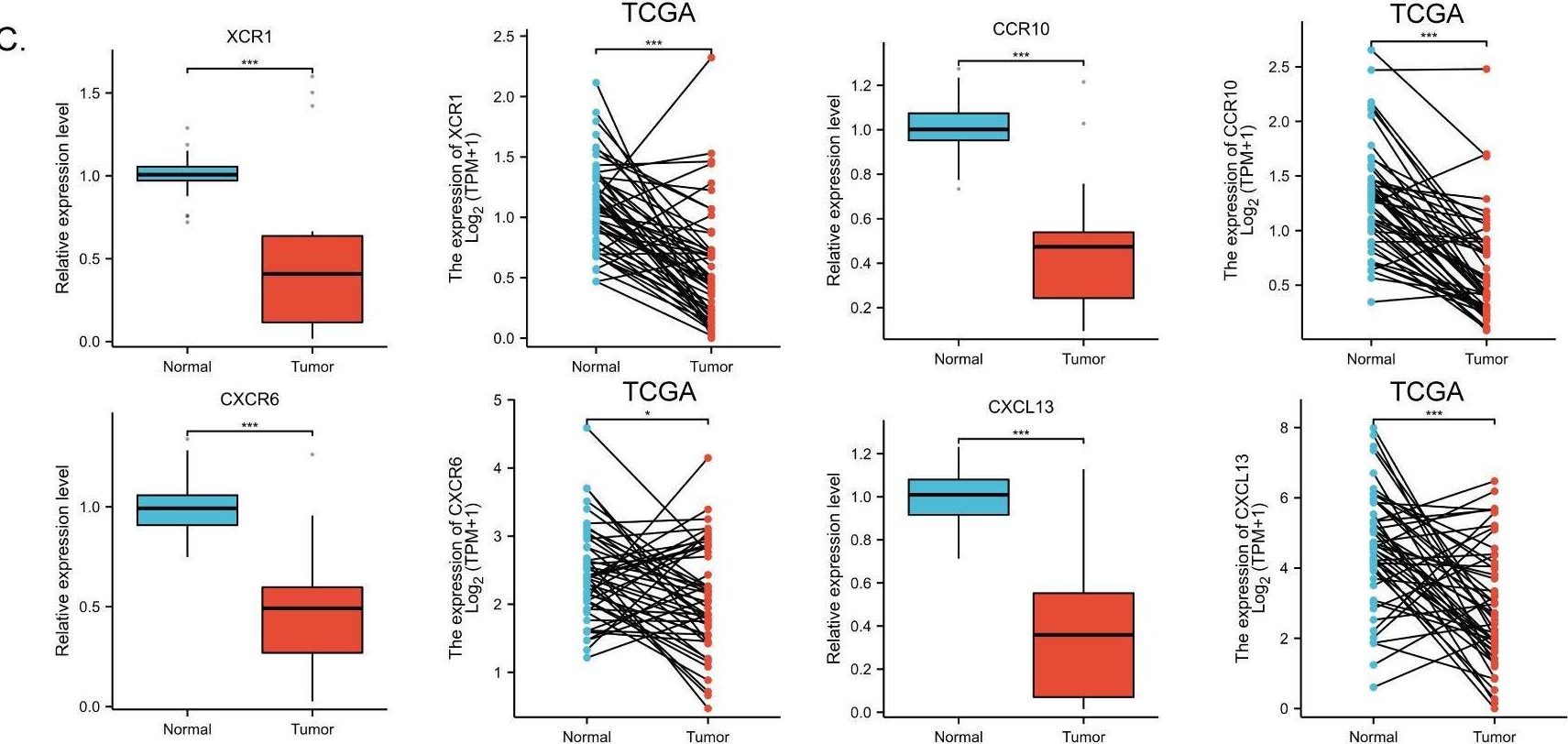 Fig.6.C showing Flow cytometry/Cell sorting from the publication: Chemokine family significance and prognostic value in colorectal cancer.