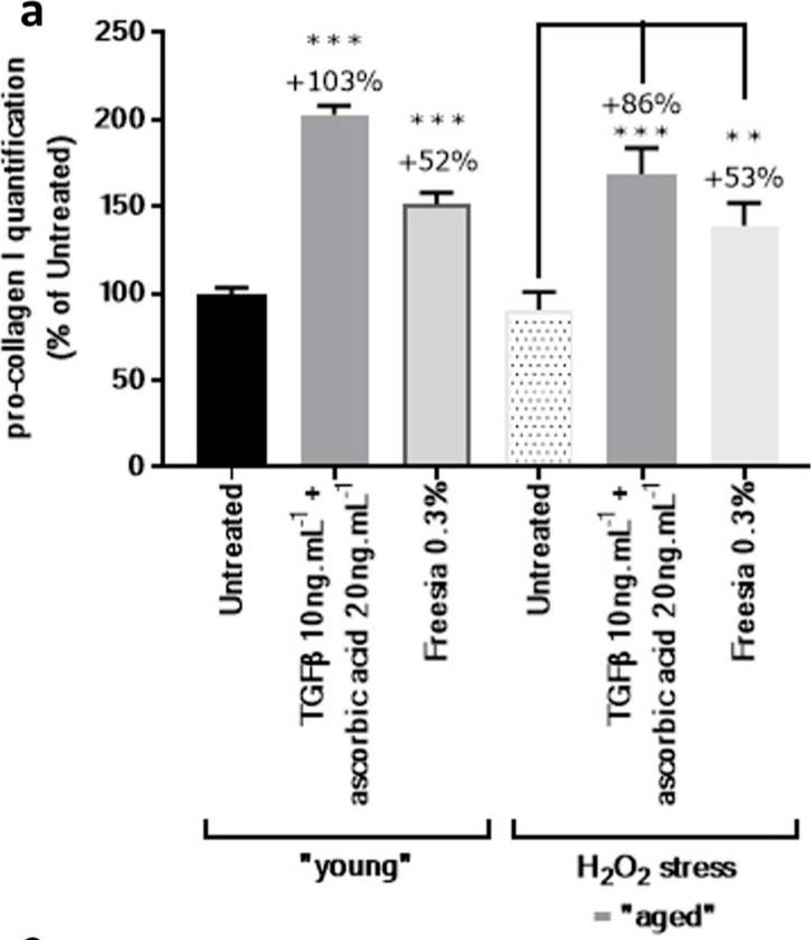 Fig.3.A showing Enzyme-linked immunosorbent assay in a Homo sapiens (Human) sample from the publication: Analysis of Active Components and Transcriptome of Freesia refracta Callus Extract and Its Effects against Oxidative Stress and Wrinkles in Skin.