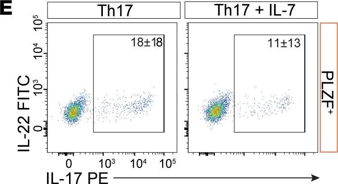 Fig.7.E showing Flow cytometry/Cell sorting in a Homo sapiens (Human) sample from the publication: Homeostatic cytokines reciprocally modulate the emergence of prenatal effector PLZF+CD4+ T cells in humans.