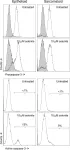 Fig.6.A showing Flow cytometry/Cell sorting in a Homo sapiens (Human) sample from the publication: Phenotype-dependent apoptosis signalling in mesothelioma cells after selenite exposure.