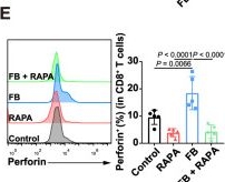 Fig.6.E showing Flow cytometry/Cell sorting in a Mus musculus (House mouse) sample from the publication: Macrophage-derived fibronectin suppresses antitumor immunity via tissue stiffening and immunosuppressive cell induction in cancer mouse models.