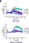 Fig.4.B showing Flow cytometry/Cell sorting from the publication: The Bruton tyrosine kinase inhibitor PCI-32765 ameliorates autoimmune arthritis by inhibition of multiple effector cells.