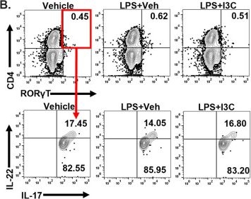 Fig.3.B showing Flow cytometry/Cell sorting in a Mus musculus (House mouse) sample from the publication: Aryl Hydrocarbon Receptor Activation Ameliorates Acute Respiratory Distress Syndrome through Regulation of Th17 and Th22 Cells in the Lungs.