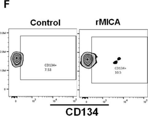 Fig.3.F showing Flow cytometry/Cell sorting in a Homo sapiens (Human) sample from the publication: MAIT Cells in the Bone Marrow of Patients with Aplastic Anemia.