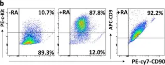 Fig.1.B showing Flow cytometry/Cell sorting in a Mus musculus (House mouse) sample from the publication: A bioenergetic shift is required for spermatogonial differentiation.