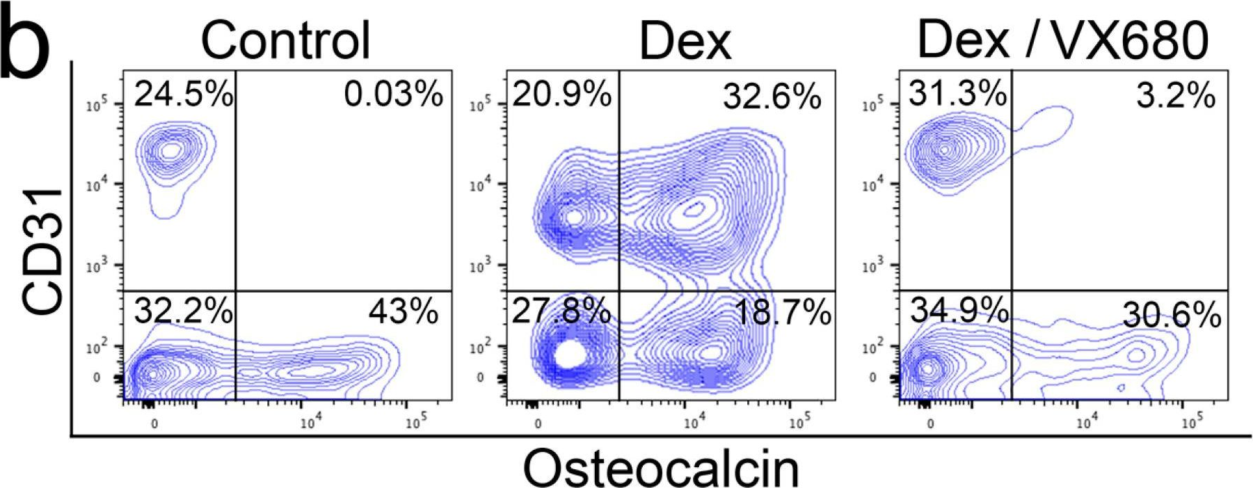 Fig.5.B showing Flow cytometry/Cell sorting in a Mus musculus (House mouse) sample from the publication: Aurora Kinase A Regulates Cell Transitions in Glucocorticoid-Induced Bone Loss.