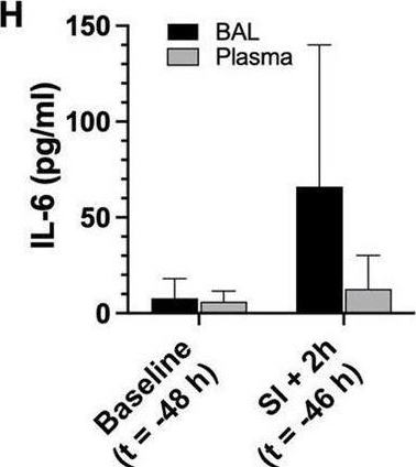 Fig.1.H showing Enzyme-linked immunosorbent assay from the publication: Colonic oxygen microbubbles augment systemic oxygenation and CO2 removal in a porcine smoke inhalation model of severe hypoxia.