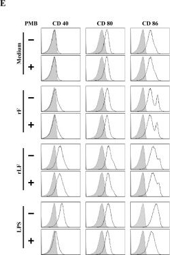 Fig.1.E showing Flow cytometry/Cell sorting from the publication: Recombinant lipidated FLIPr effectively enhances mucosal and systemic immune responses for various vaccine types.
