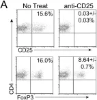 Fig.2.A showing Flow cytometry/Cell sorting from the publication: Protective CD8 memory T cell responses to mouse melanoma are generated in the absence of CD4 T cell help.