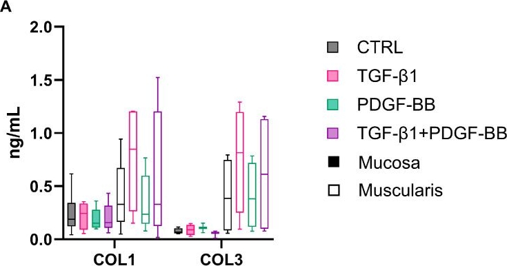 Fig.8.A from the publication: Fibrogenesis in Human Mucosa and Muscularis Precision-Cut Intestinal Slices.