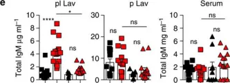 Fig.5.E showing Enzyme-linked immunosorbent assay in a Mus musculus (House mouse) sample from the publication: Fat-associated lymphoid clusters control local IgM secretion during pleural infection and lung inflammation.