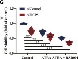 Fig.6.G from the publication: Systematic analysis of prognostic and immunologic characteristics associated with coronavirus disease 2019 regulators in acute myeloid leukemia.
