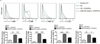 Fig.4.C showing Flow cytometry/Cell sorting from the publication: MiR-103 protects from recurrent spontaneous abortion via inhibiting STAT1 mediated M1 macrophage polarization.