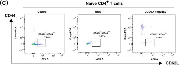 Fig.7.C showing Flow cytometry/Cell sorting in a Mus musculus (House mouse) sample from the publication: Proteomic insights into aprotinin's immunomodulatory effects in attenuating renal fibrosis in a unilateral ureteral obstruction model.
