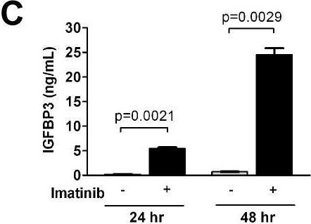 Fig.1.C showing Enzyme-linked immunosorbent assay from the publication: Insulin-like growth factor binding protein-3 has dual effects on gastrointestinal stromal tumor cell viability and sensitivity to the anti-tumor effects of imatinib mesylate in vitro.
