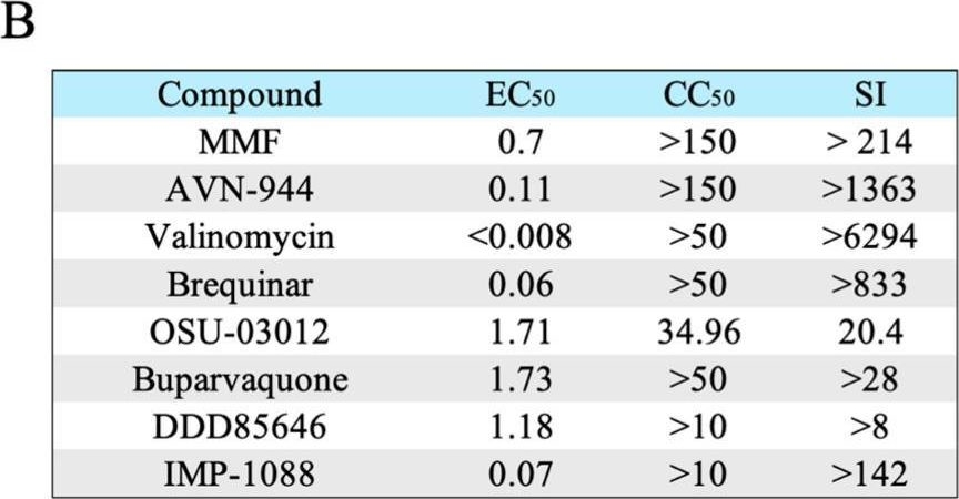 Fig.1.B from the publication: Repurposing Drugs for Synergistic Combination Therapies to Counteract Monkeypox Virus Tecovirimat Resistance.