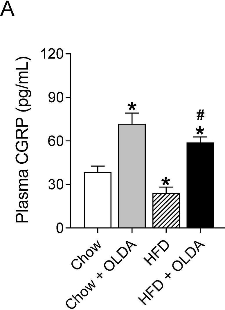 Fig.2.A showing Enzyme-linked immunosorbent assay from the publication: Activation of TRPV1-Expressing Renal Sensory Nerves of Rats with N-Oleoyldopamine Attenuates High-Fat-Diet-Induced Impairment of Renal Function.