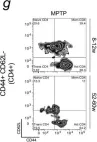 Fig.1.G showing Flow cytometry/Cell sorting in a Mus musculus (House mouse) sample from the publication: Pro-Inflammatory Priming of the Brain: The Underlying Cause of Parkinson's Disease.