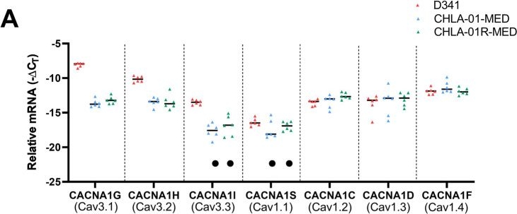 Fig.1.A from the publication: T-Type Calcium Channel Inhibitors Induce Apoptosis in Medulloblastoma Cells Associated with Altered Metabolic Activity.