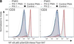 Fig.6.B showing Flow cytometry/Cell sorting in a Homo sapiens (Human) sample from the publication: Heterozygous premature termination in zinc-finger domain of Krüppel-like factor 2 gene associates with dysregulated immunity.