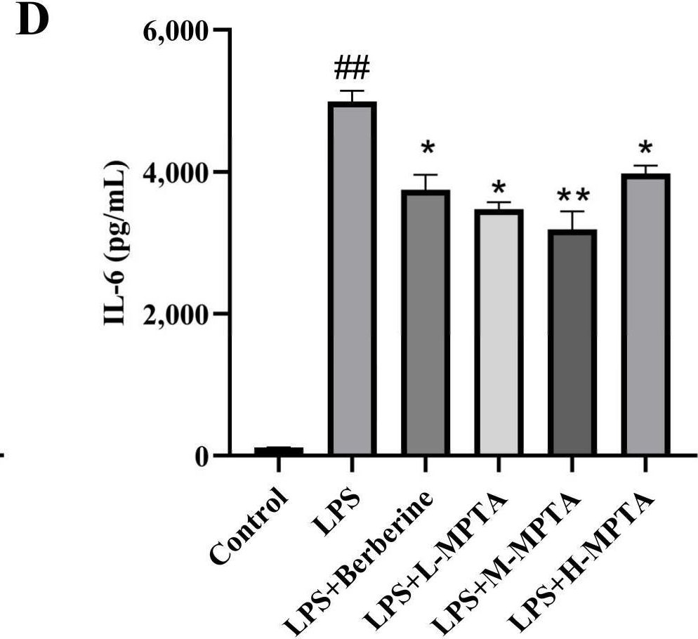Fig.5.D showing Enzyme-linked immunosorbent assay from the publication: Protopine-Type Alkaloids Alleviate Lipopolysaccharide-Induced Intestinal Inflammation and Modulate the Gut Microbiota in Mice.