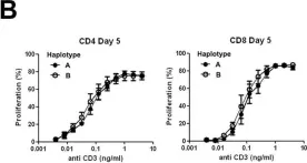 Fig.3.B showing Flow cytometry/Cell sorting in a Homo sapiens (Human) sample from the publication: Lymphocyte Activation Dynamics Is Shaped by Hereditary Components at Chromosome Region 17q12-q21.