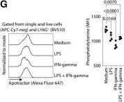 Fig.6.G showing Flow cytometry/Cell sorting from the publication: CXCR4+ PD-L1+ neutrophils are increased in non-survived septic mice.
