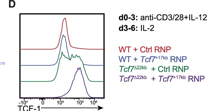 Fig.2.D showing Flow cytometry/Cell sorting in a Mus musculus (House mouse) sample from the publication: The transcriptional repressor BLIMP1 enforces TCF-1-dependent and -independent restriction of the memory fate of CD8+ T cells.