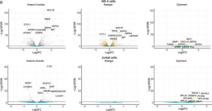 Fig.5.B from the publication: Fast pH-Driven Solubilization Method of Realgar (As4S4) to Reduce the Toxicity of Arsenic [As(III)] for Medicinal Purposes.