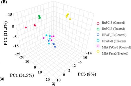 Fig.2.B from the publication: Untargeted Metabolomics Analysis Reveals Potential Metabolic Targets in Gemcitabine-Treated Pancreatic Cancer Cells.
