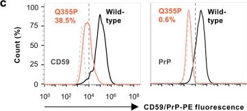 Fig.3.C showing Flow cytometry/Cell sorting from the publication: Structures of liganded glycosylphosphatidylinositol transamidase illuminate GPI-AP biogenesis.