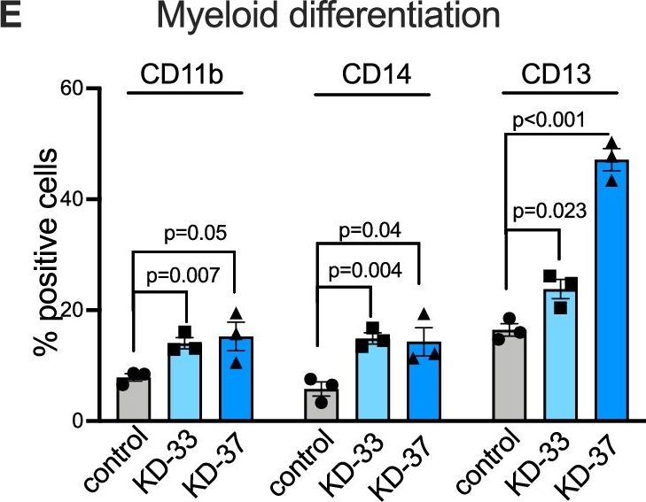 Fig.2.E showing Flow cytometry/Cell sorting in a Homo sapiens (Human) sample from the publication: Translation efficiency driven by CNOT3 subunit of the CCR4-NOT complex promotes leukemogenesis.