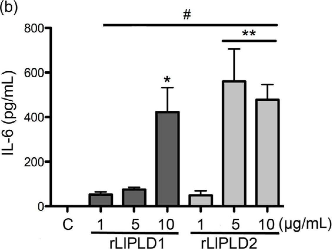 Fig.3.B showing Enzyme-linked immunosorbent assay in a Homo sapiens (Human) sample from the publication: Phospholipase D from Loxosceles laeta Spider Venom Induces IL-6, IL-8, CXCL1/GRO-α, and CCL2/MCP-1 Production in Human Skin Fibroblasts and Stimulates Monocytes Migration.