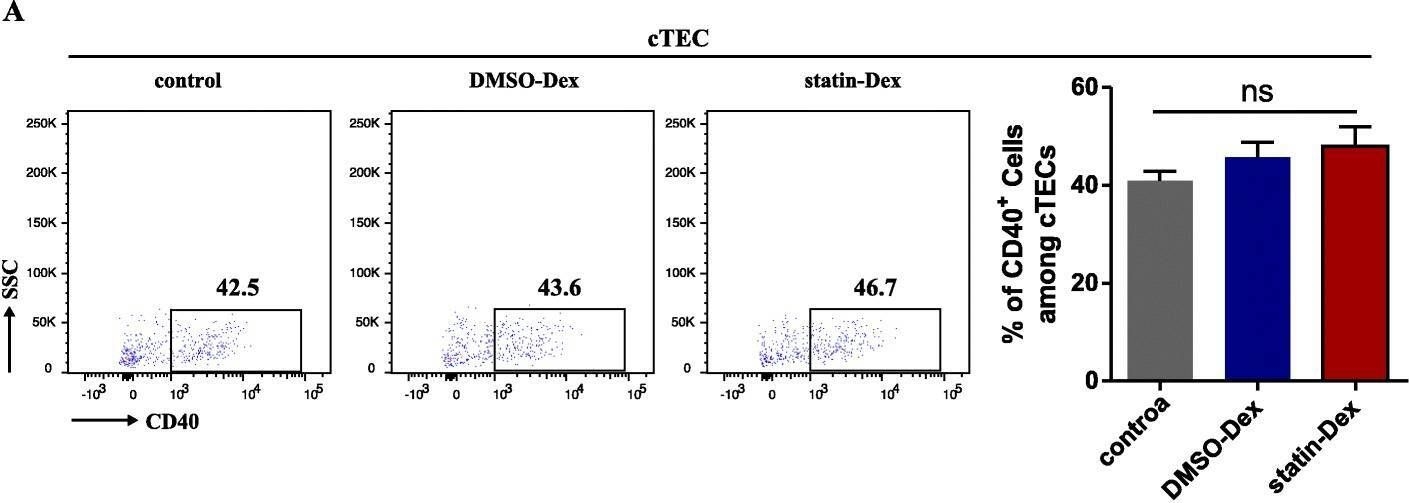 Fig.5.A showing Flow cytometry/Cell sorting from the publication: Exosomes derived from statin-modified bone marrow dendritic cells increase thymus-derived natural regulatory T cells in experimental autoimmune myasthenia gravis.