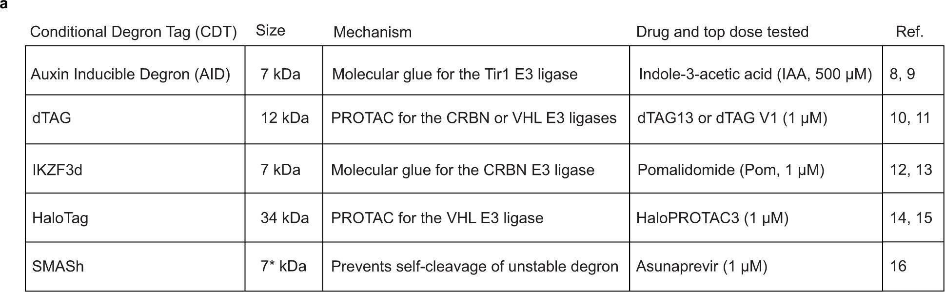Fig.1.A from the publication: Systematic profiling of conditional degron tag technologies for target validation studies.